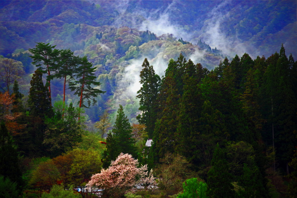 雨上がるⅡ　IMGP1975zz