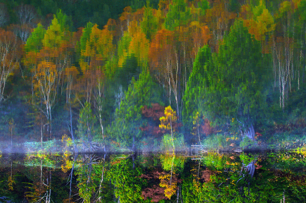 Reversed world　IMG1863zz