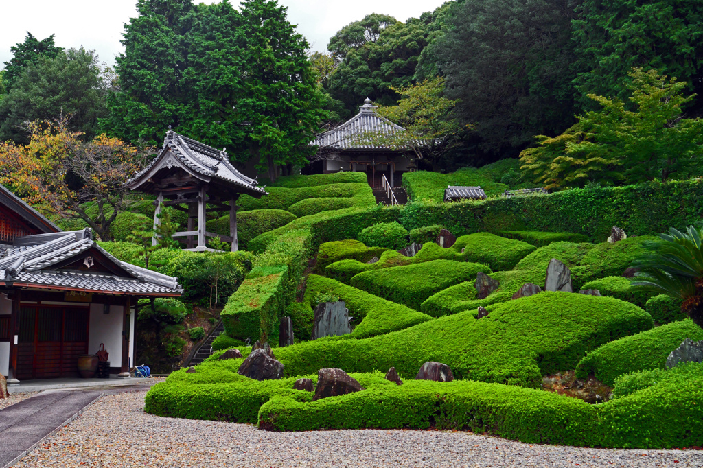 林昌寺法林の庭　P1044857zz