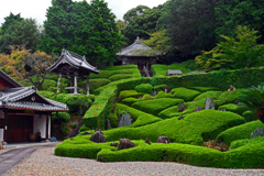林昌寺法林の庭　P1044857zz