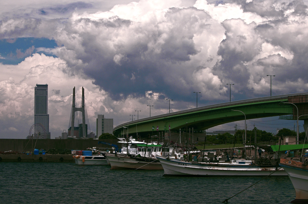 まだまだ梅雨空　_IMG9116zz