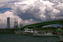 まだまだ梅雨空　_IMG9116zz