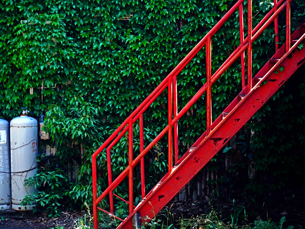紅い階段　P1220045zz
