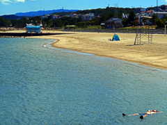 夏の名残　P1090368zz