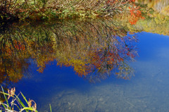 紅葉 Reflection　_IGP9901z