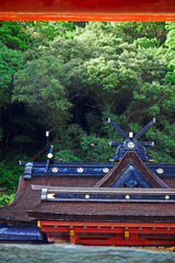長い長い石段を登りきるとご本殿に　　P1210823zz