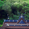 長い長い石段を登りきるとご本殿に　　P1210823zz