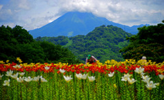 伯耆大山とお花畑　IMGP1330zz
