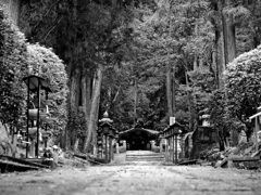 根来寺奥の院　P1180554zz