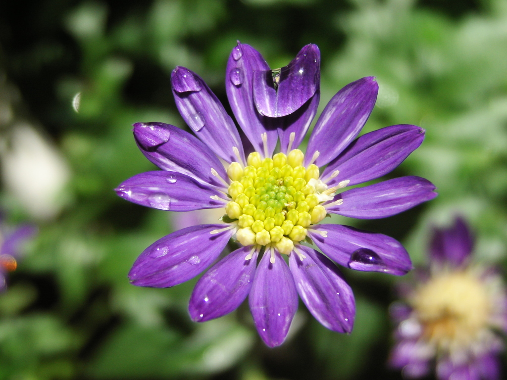 雨粒を貯める　4705