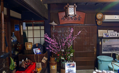 華やぐ店先　P1061067zz