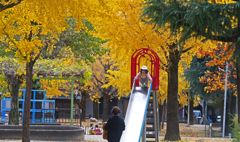 ばあばと一緒　P1126130zz