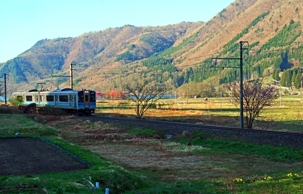 春の野を行く　P1074810zz