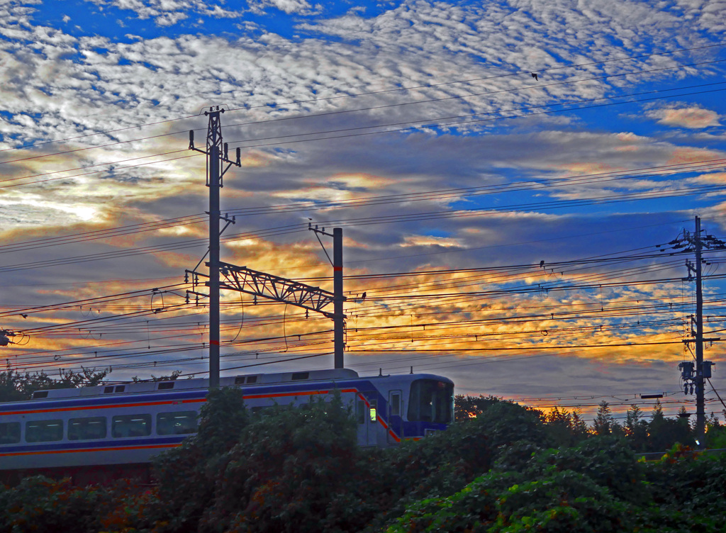 通勤特急　P1710225zz