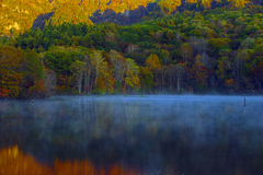 秋模様Ⅱ　IMGP3342zz