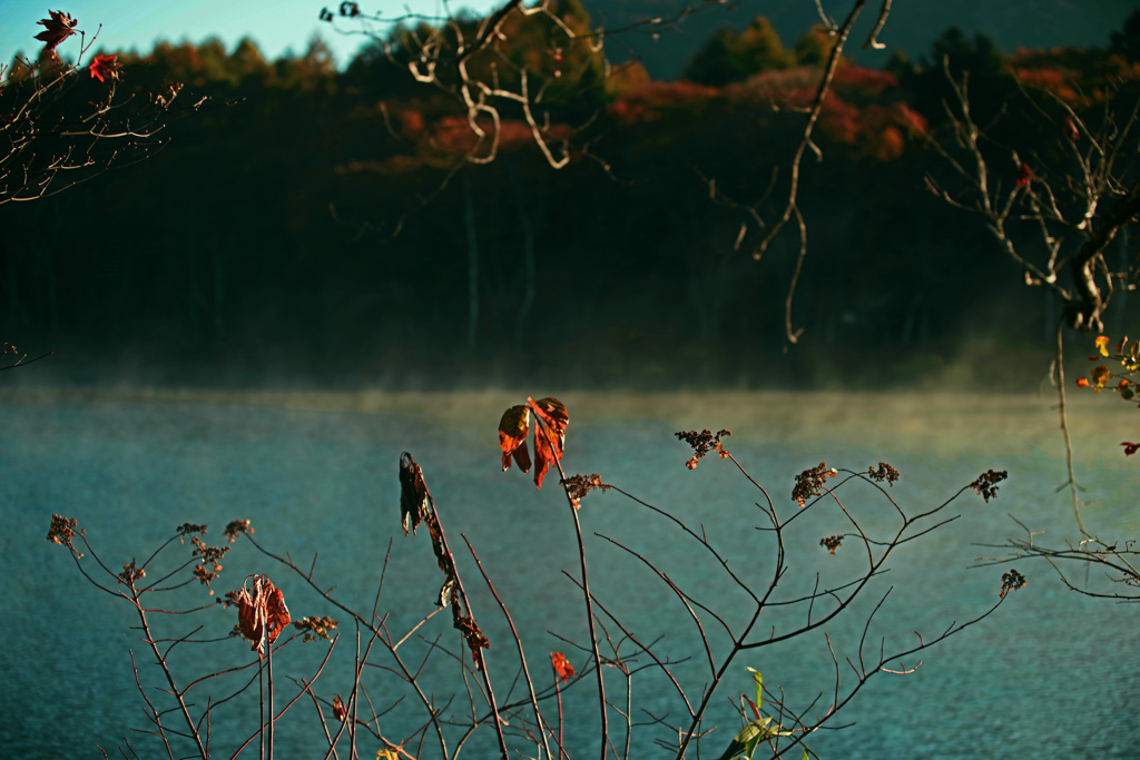 晩秋の朝　IMGP9791z