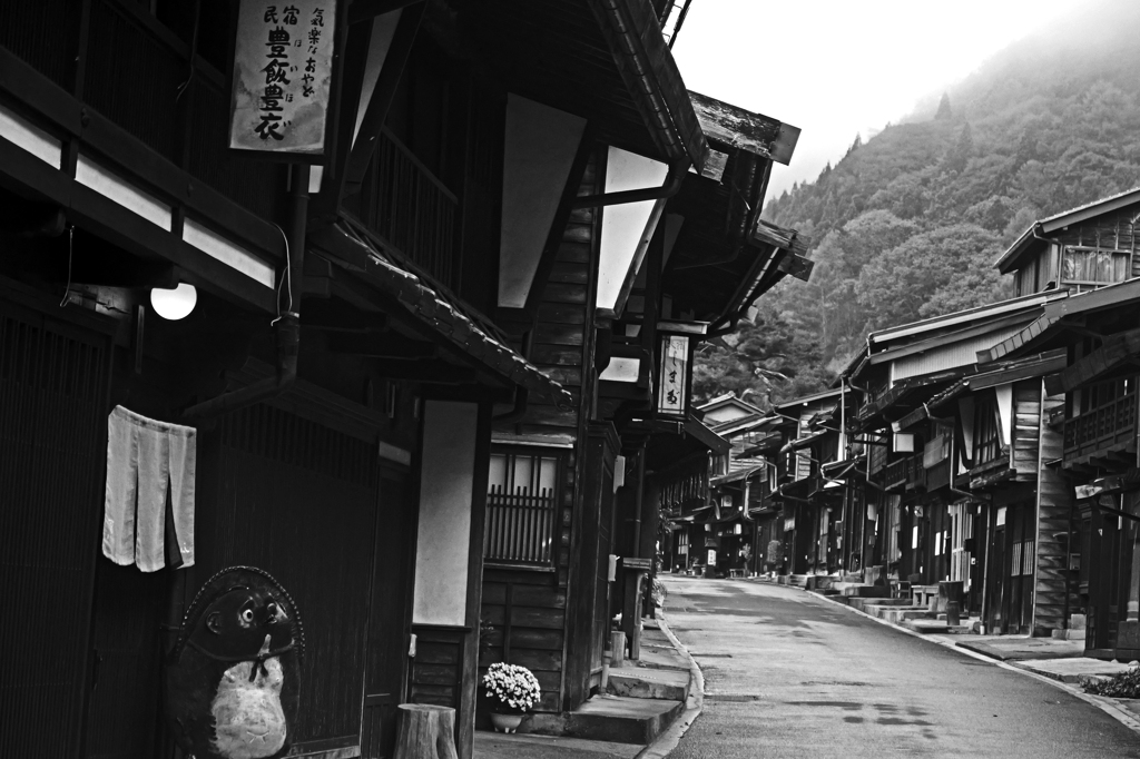 雨上がりの朝Ⅱ　P1057548zz