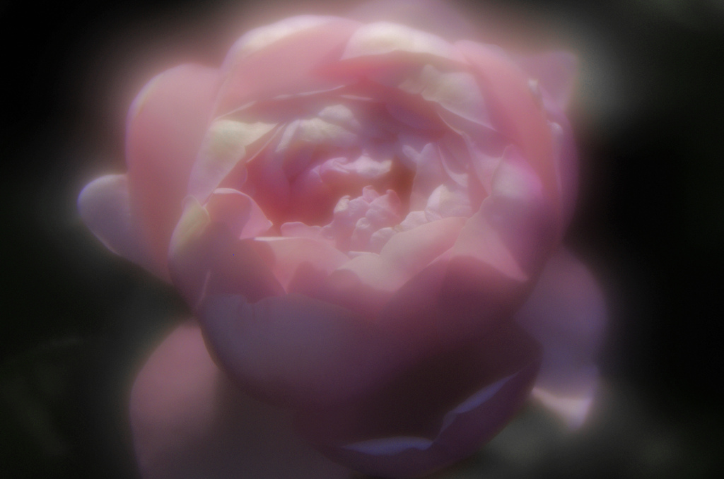 ほんわか あったか　IGP8396zz