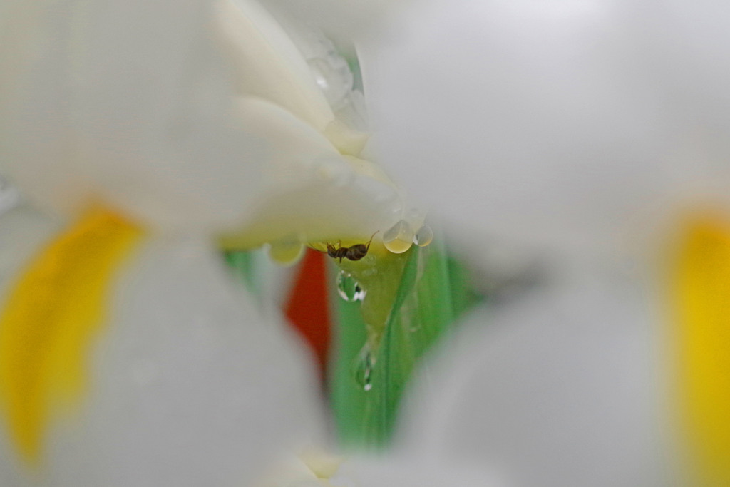 雨宿り　IMGP5907zz