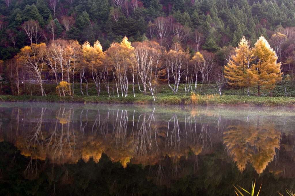 秋 黎明　IMGP5903zz