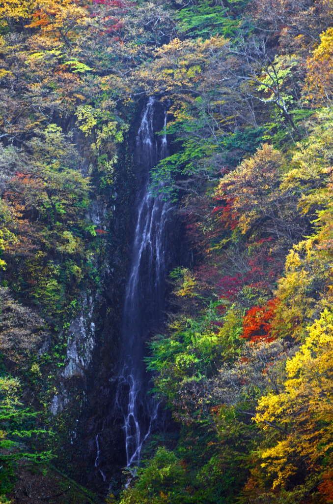 錦繍の八滝　IMG9892zz