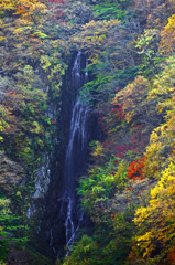 錦繍の八滝　IMG9892zz