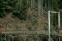 山のつり橋IMGP0441zz