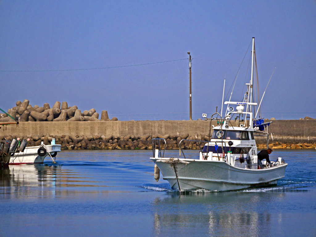 帰港 釣果は？　P1100040zz