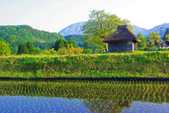 里山風景　IMGP4342zz