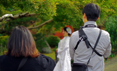 前撮り　IMGP0342zz