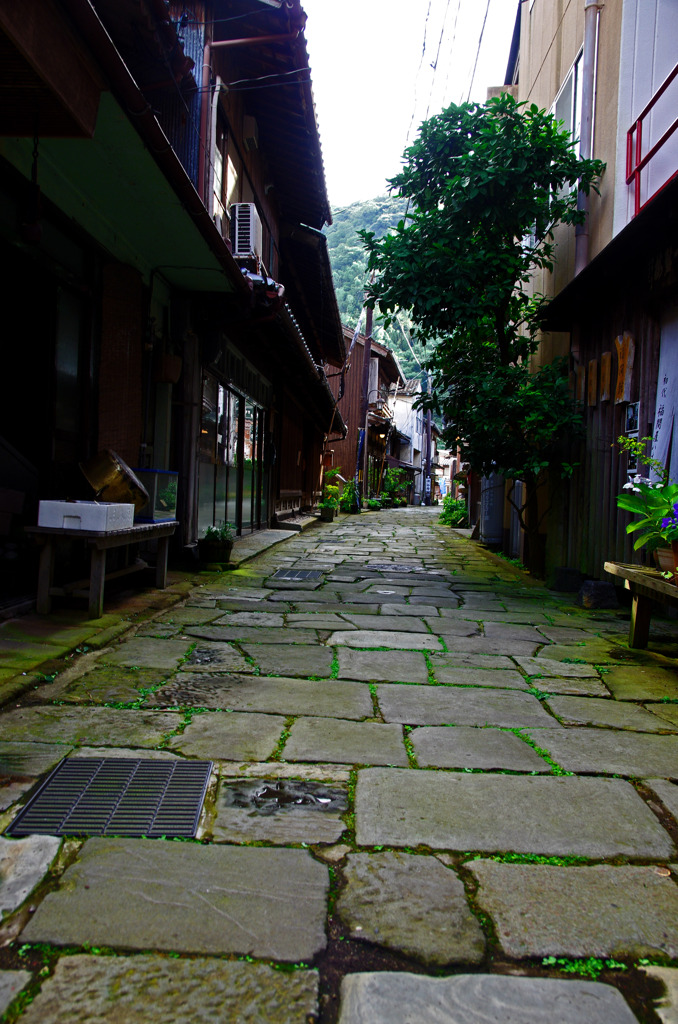 青石畳通り　IMGP5401zz