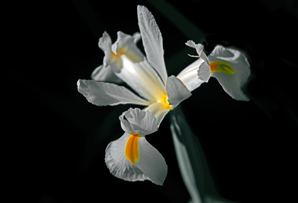 「思いやり」　IMGP6406zz
