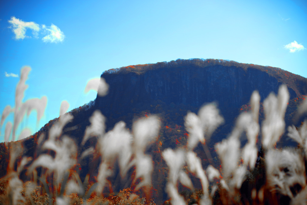 晩秋の趣　IMGP0252zz