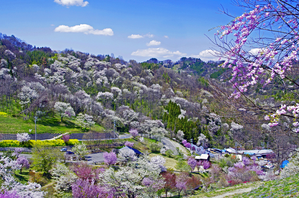 陸郷桜仙峡　IGP4678zz