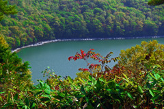 秋の琵琶池　_IGP0602z