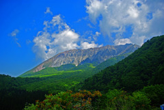 初夏の大山北壁　IMGP4398zz