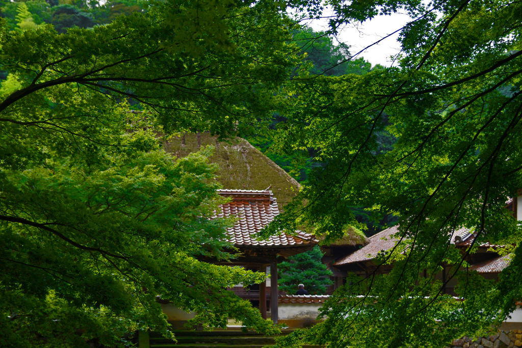 永明寺（ようめいじ）　_IGP5135zz
