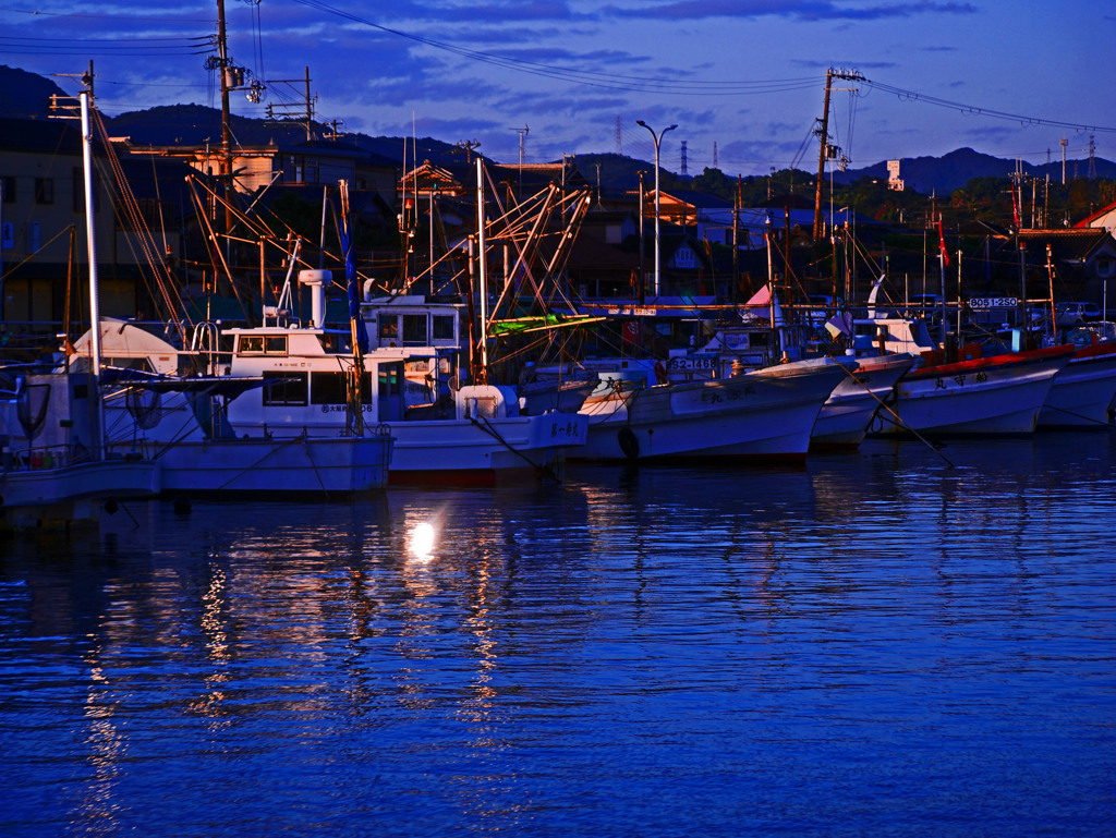 夜明け前　P1390871zz