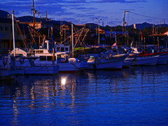 夜明け前　P1390871zz