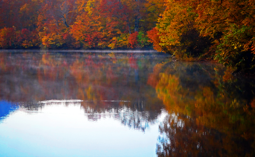 秋色の鎌池　P1270379zz