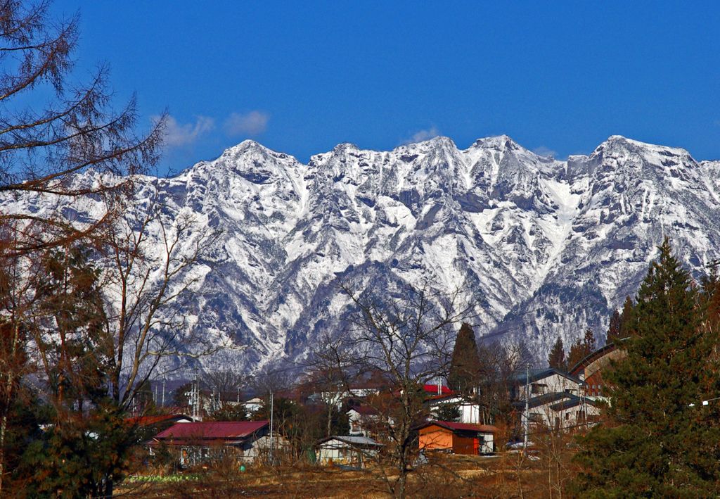冬枯れの里山　IMGP3744zz