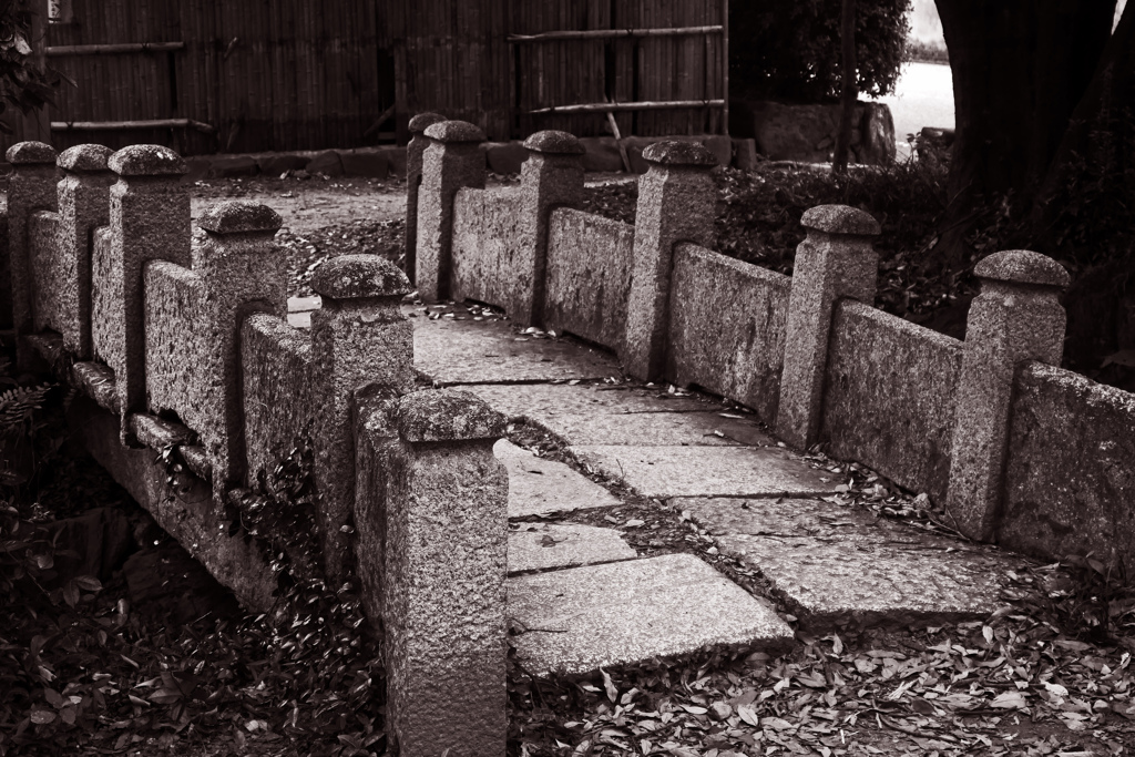 この石橋は叩いて渡ろう　P1230454zz