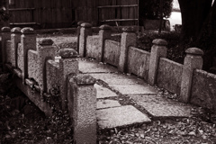 この石橋は叩いて渡ろう　P1230454zz