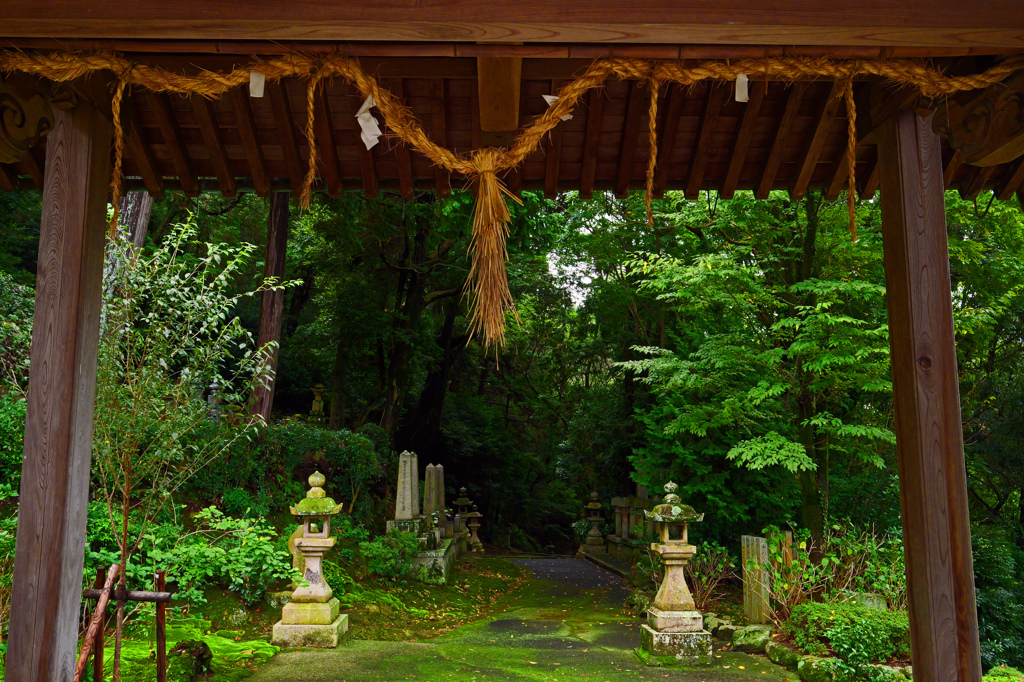 林昌寺奥の院へ　P1044859zz