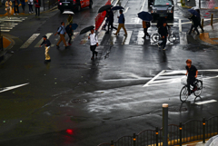 雨の横断歩道　P1450139zz