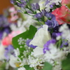 寄せ植え