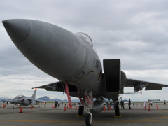 F-15J 