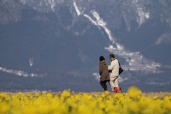 圧縮効果