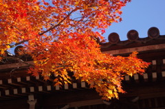 秋の京都（２）