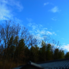 ビビッドな空